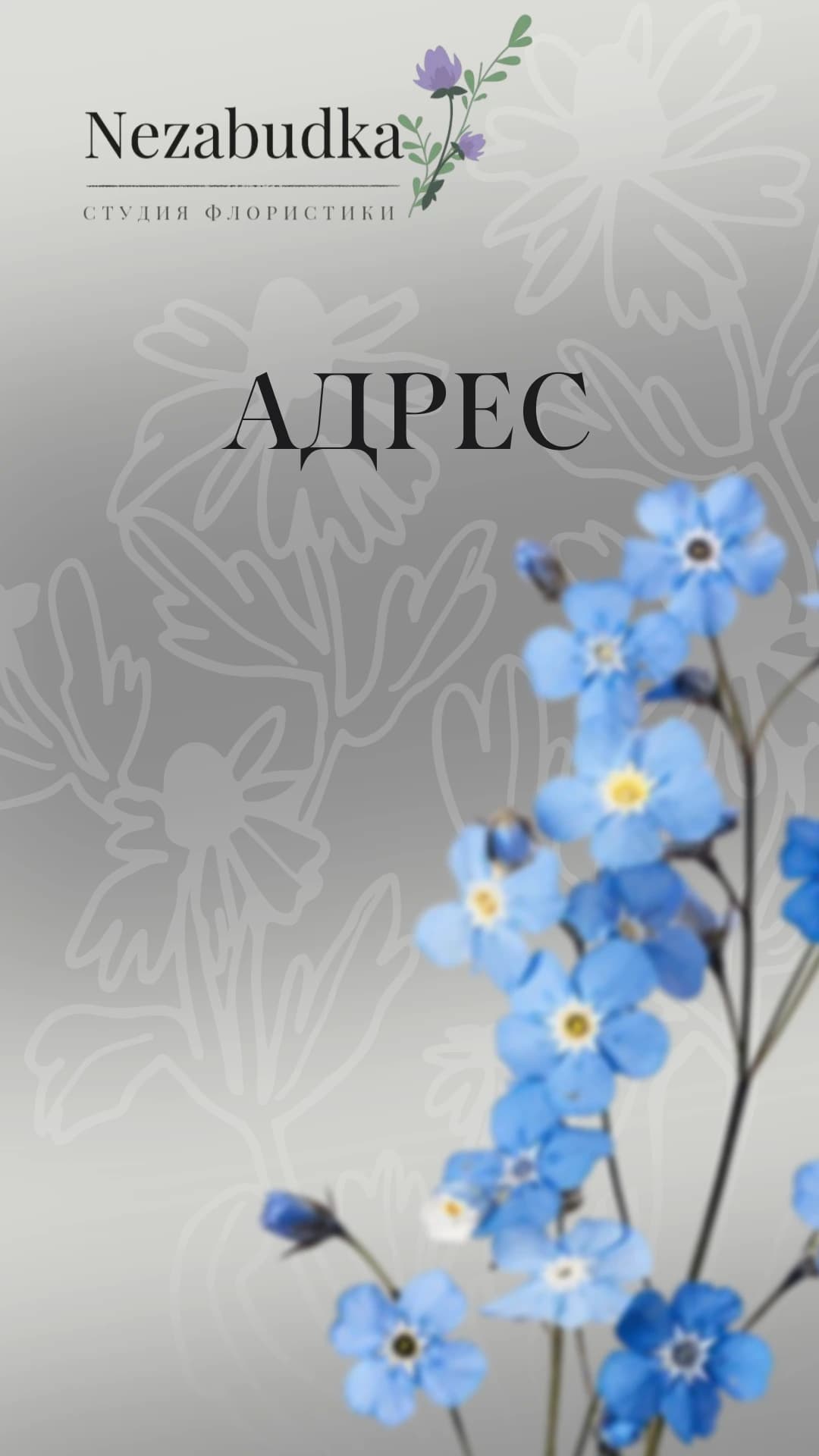 Старт | Nezabudka 3